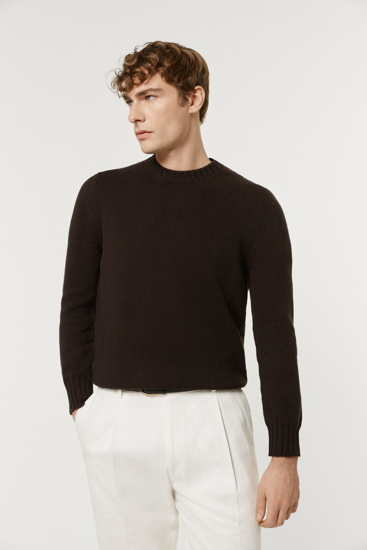 The Organic Cotton Tricot Crewneck brown