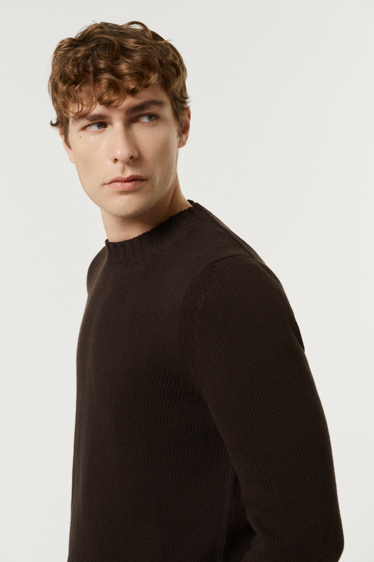 The Organic Cotton Tricot Crewneck brown
