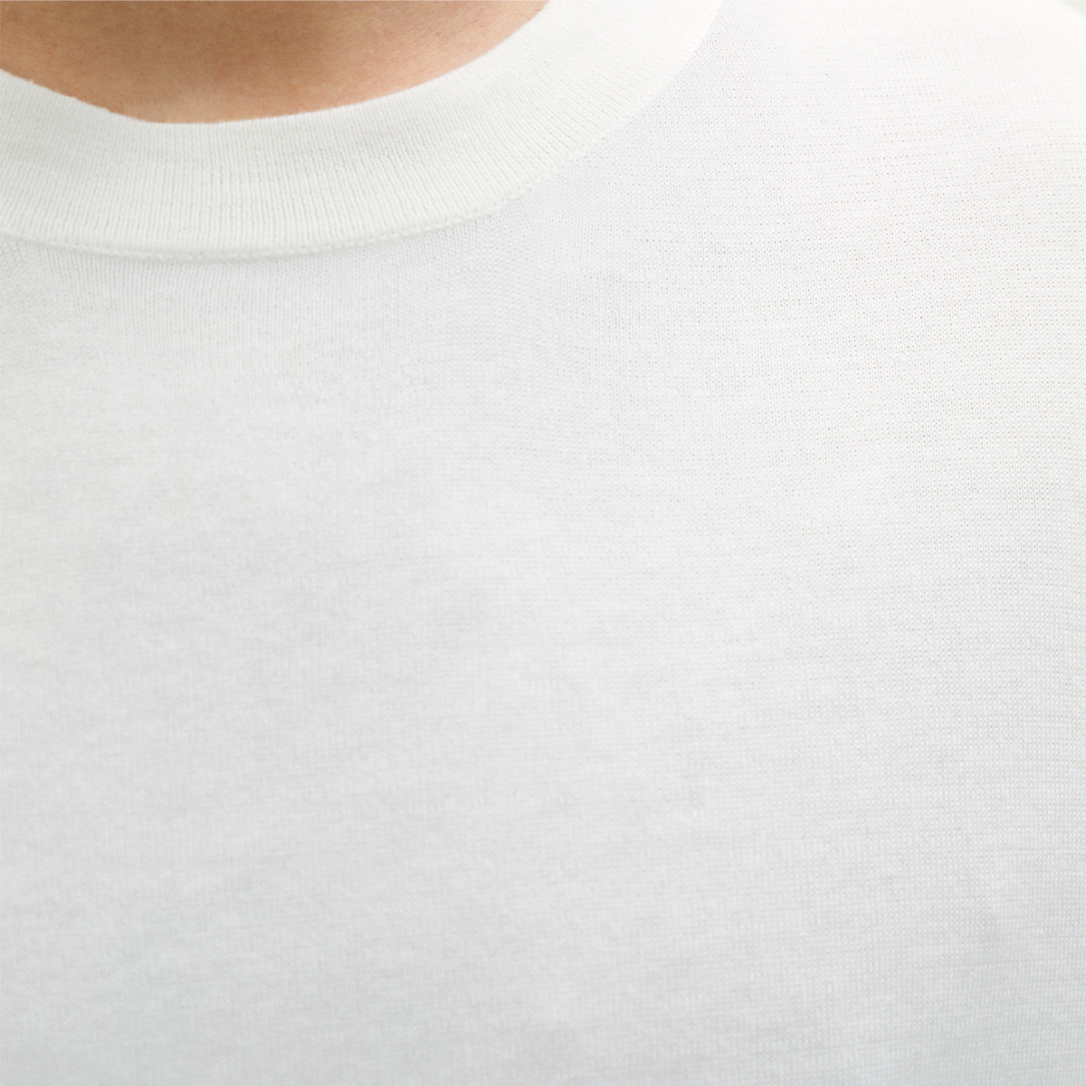 organic cotton t-shirt white