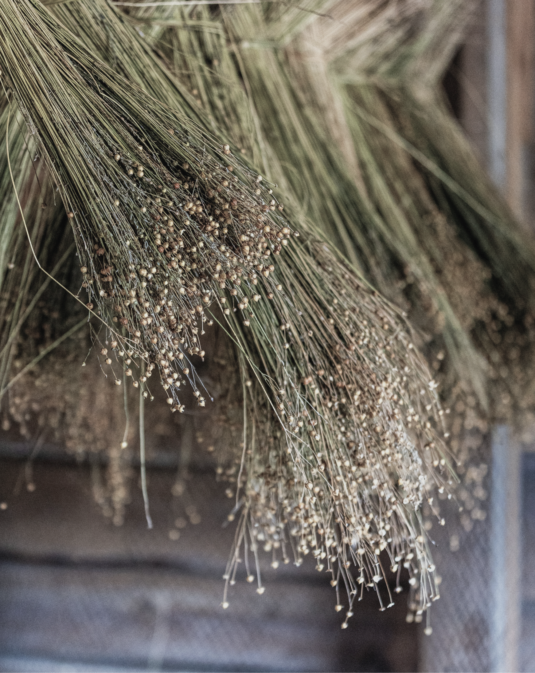 Why is linen a more sustainable fibre, and perfect to wear in summer?