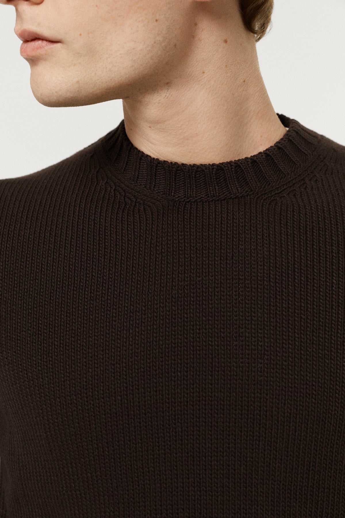 The Organic Cotton Tricot Crewneck  brown