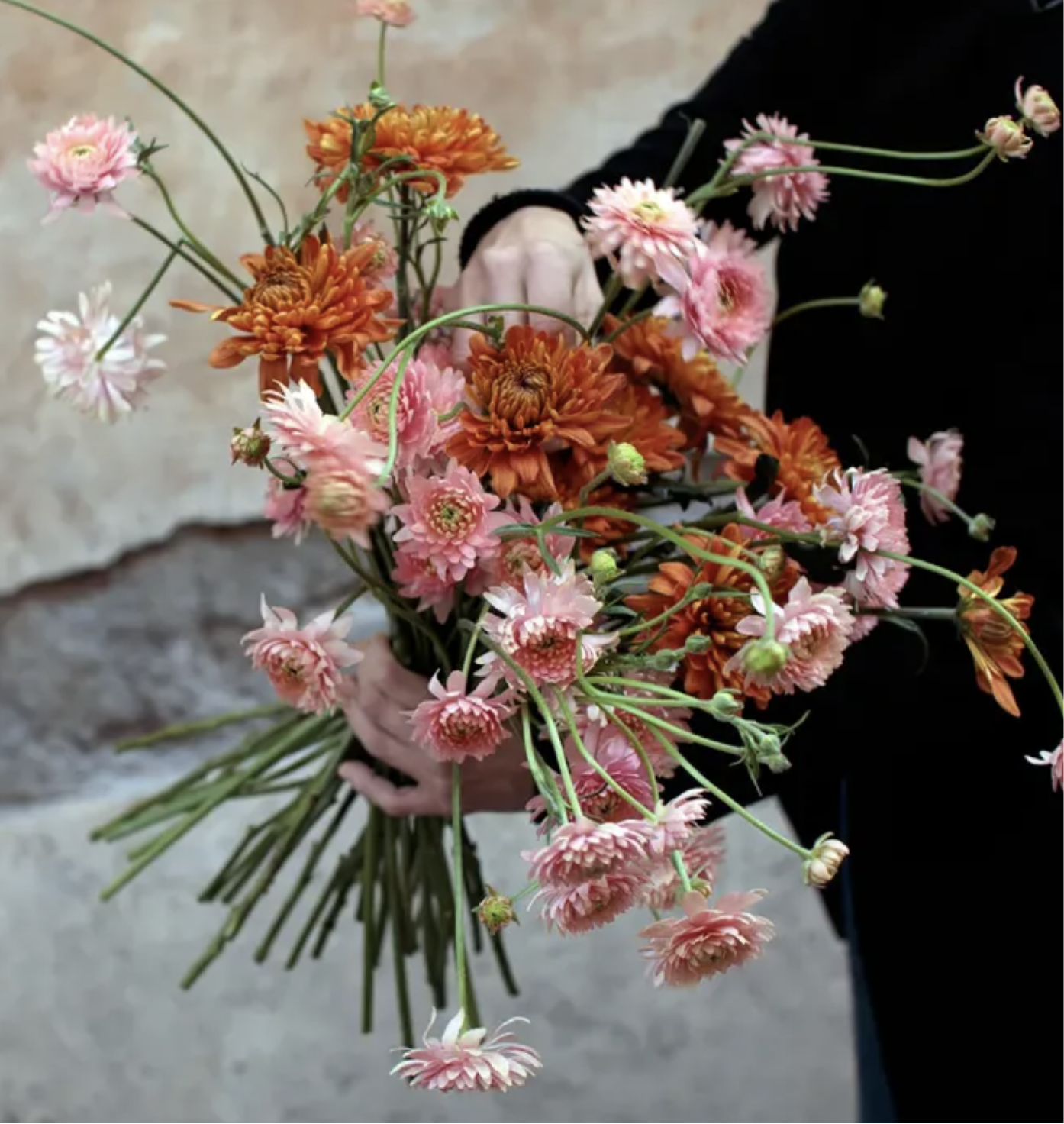 ciuri fiori roma
